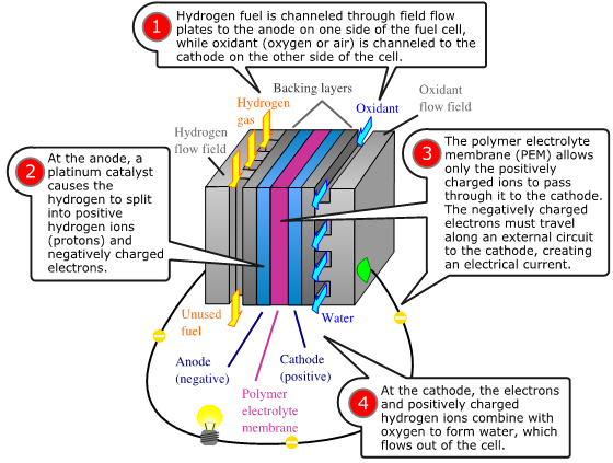 What is a Fuel Cell